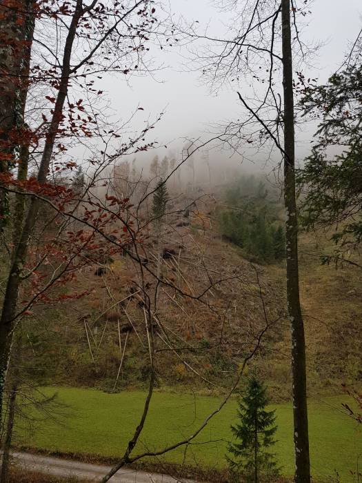 20181104_084403.jpg