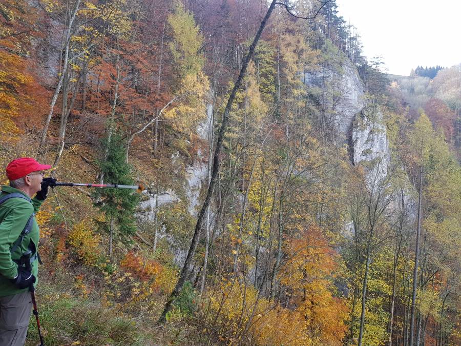 20181104_091551.jpg