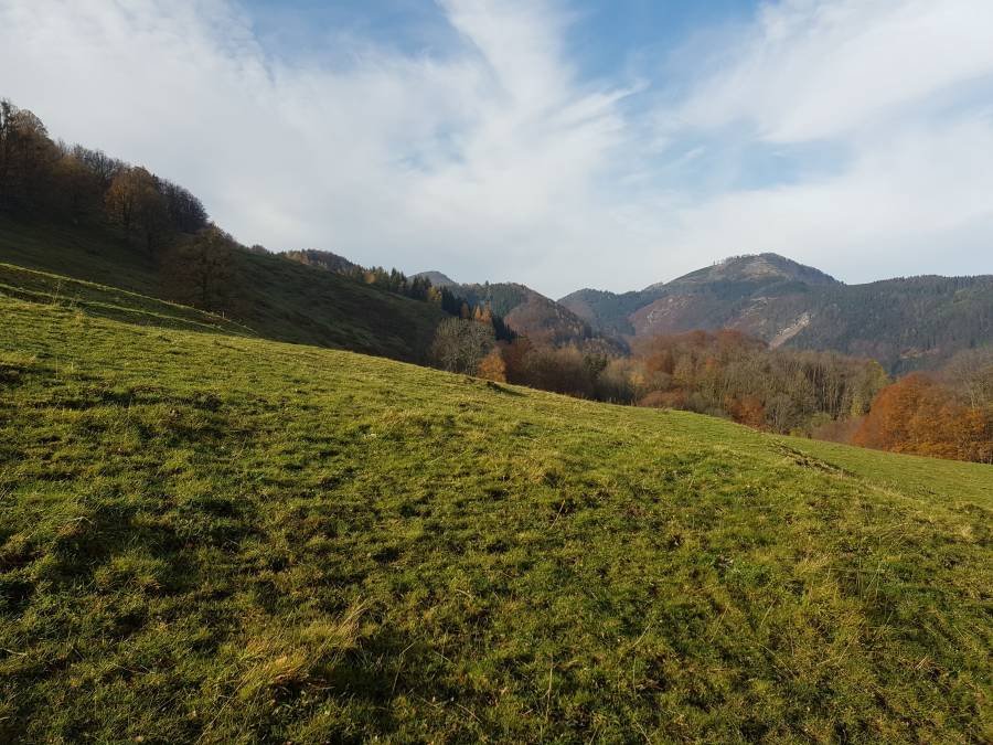 20181104_093202.jpg