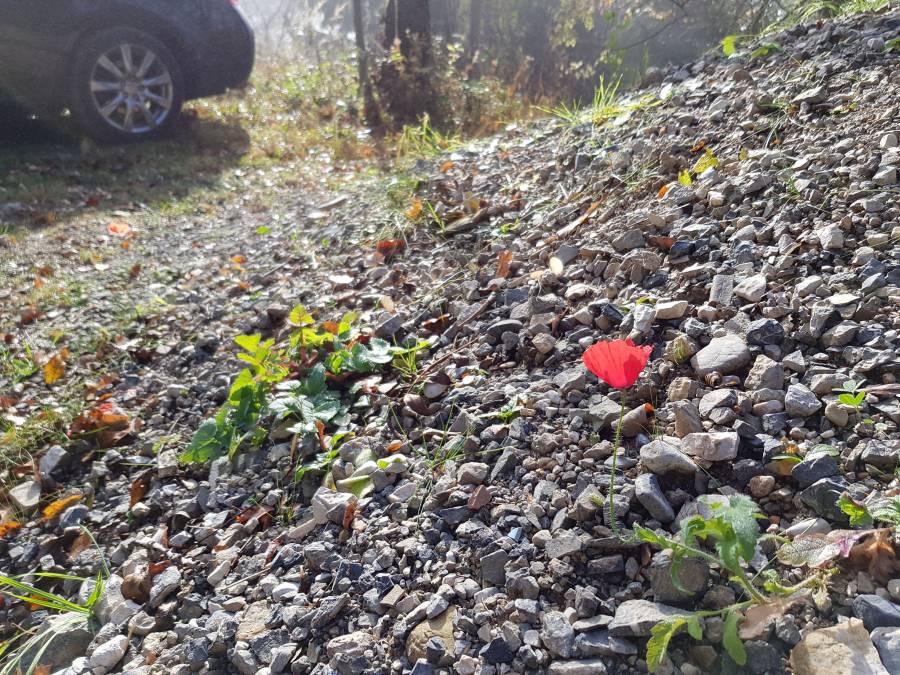 20181110_102340.jpg
