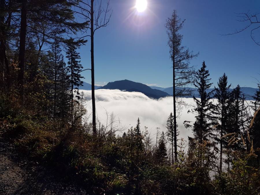 20181110_104104.jpg