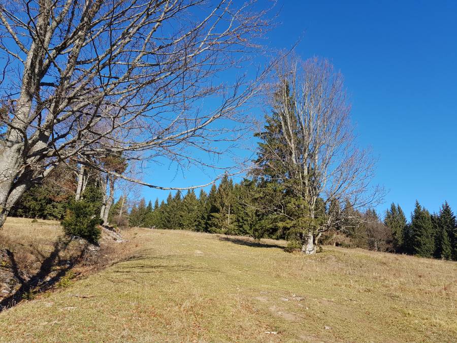 20181110_110832.jpg