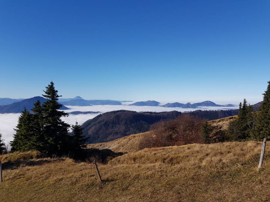 20181110_112715.jpg