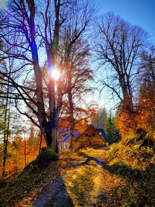 20181110_132802-effects.jpg