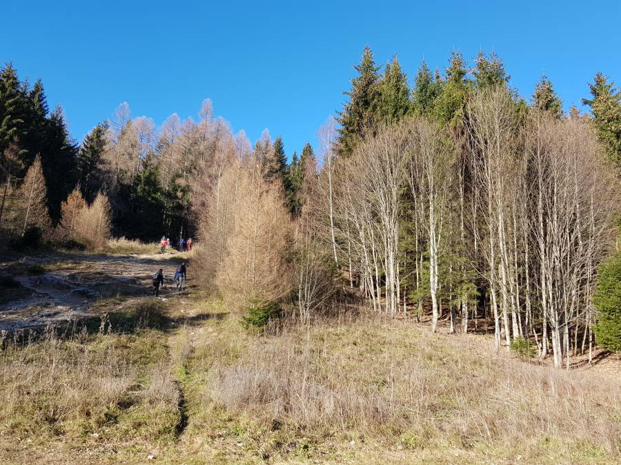 20181117_102012.jpg