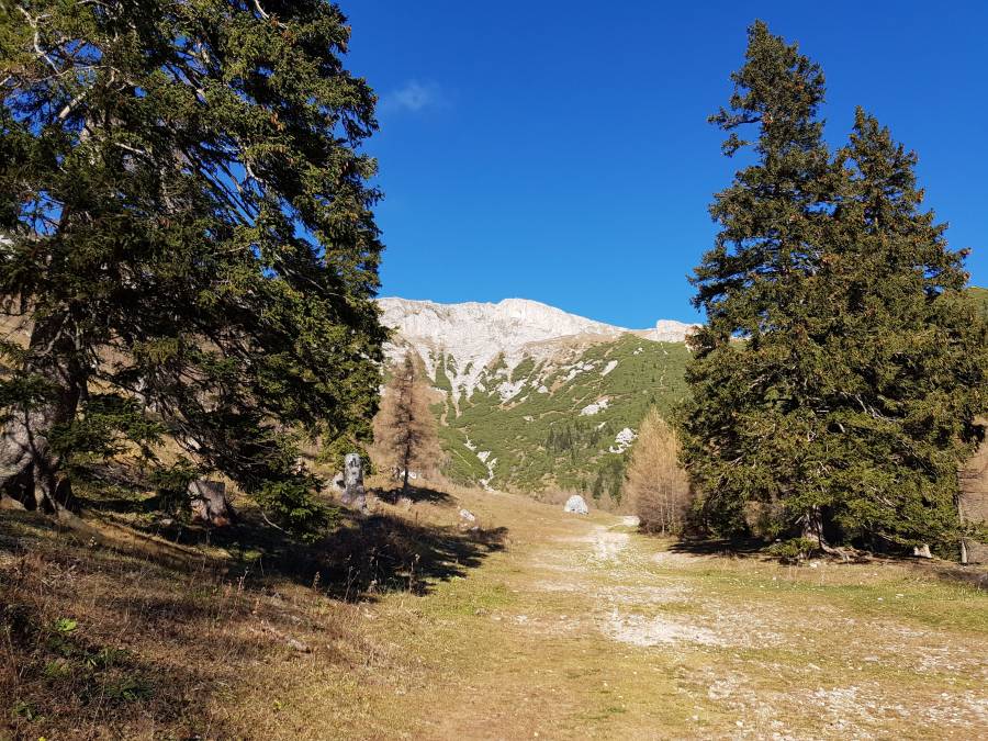 20181117_104533.jpg