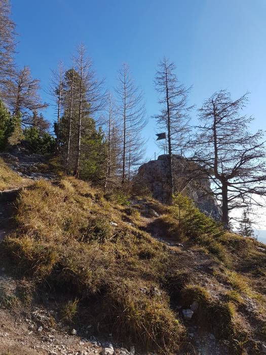 20181117_110006.jpg