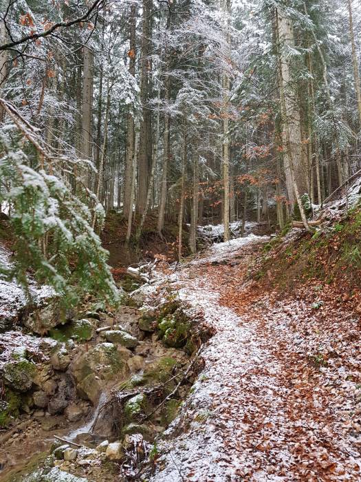 20181126_092045.jpg