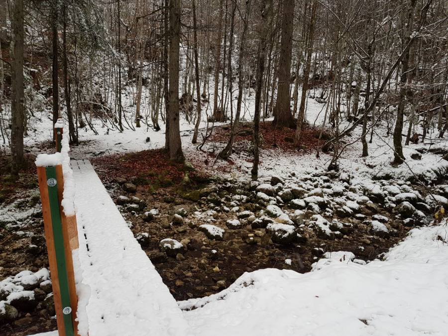 20181126_150315.jpg