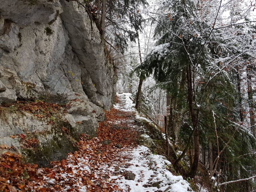 20181127_101421.jpg