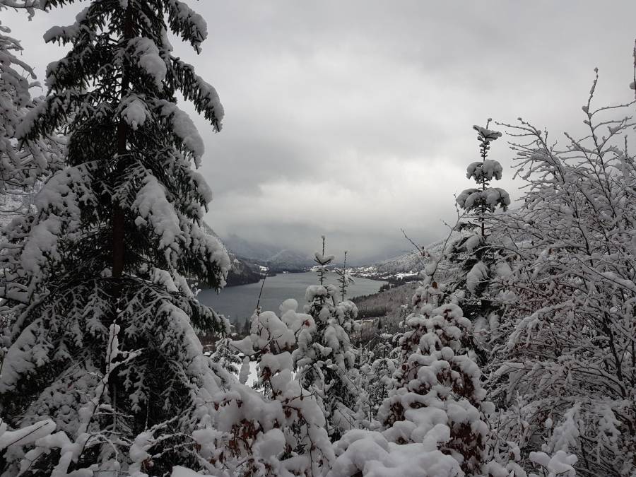 20181127_131546.jpg