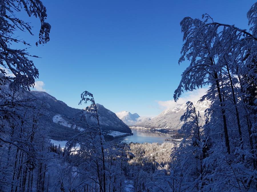 20181128_102403.jpg