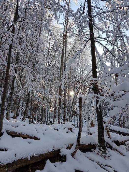 20181128_103004.jpg