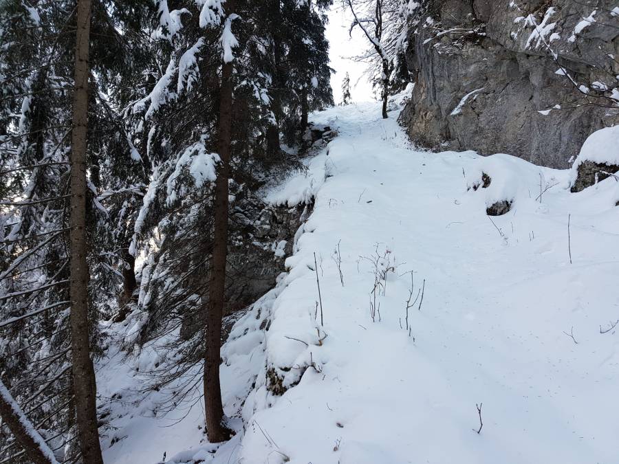 20181128_121120.jpg