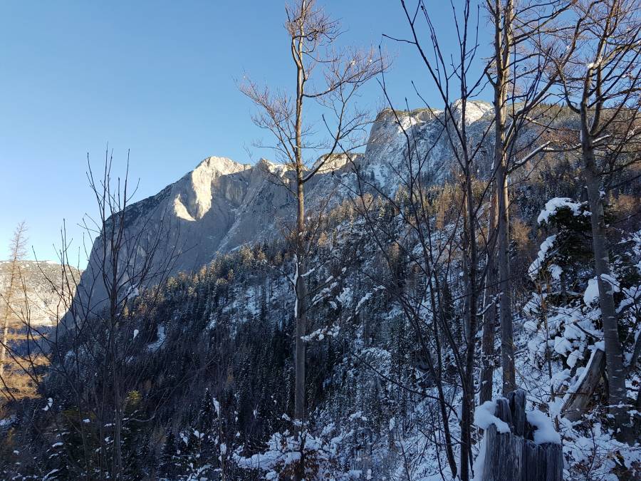 20181129_094817.jpg