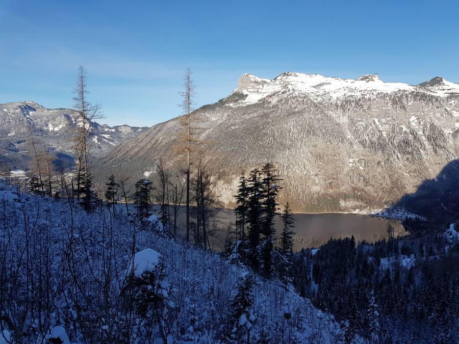 20181129_094947.jpg