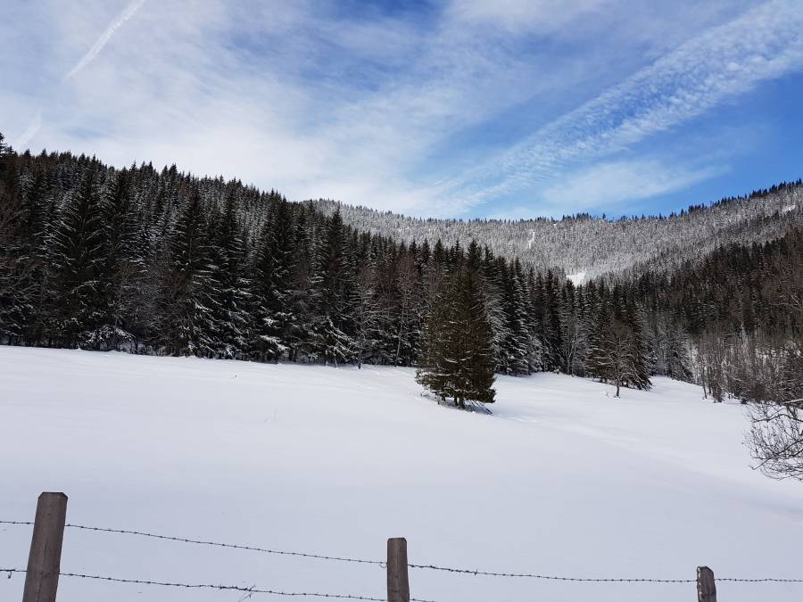 20181226_122328.jpg