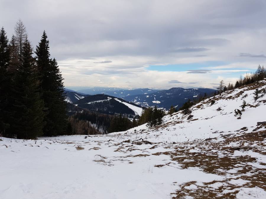 20181229_114706.jpg