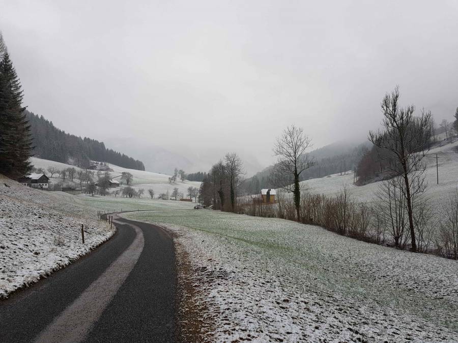 20180113_143556.jpg