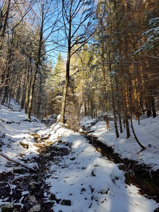 20180120_105249.jpg
