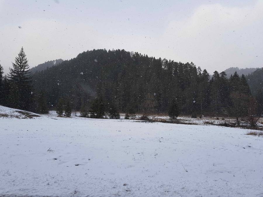 20180120_150746.jpg