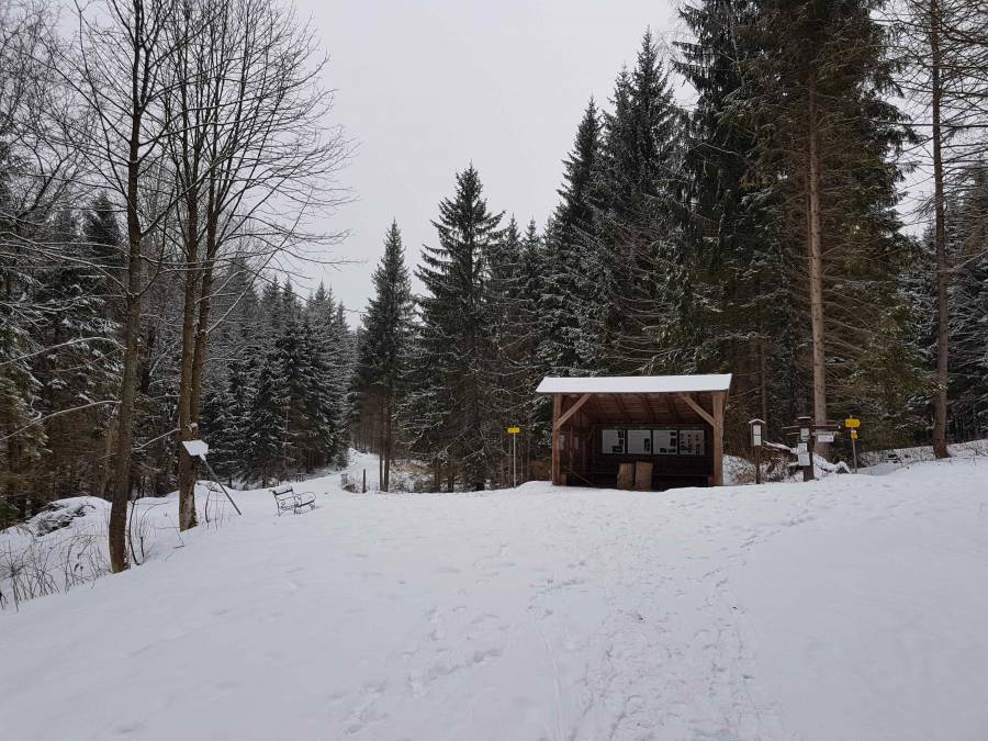 20180210_115047.jpg