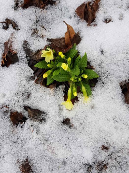 20180217_105744.jpg