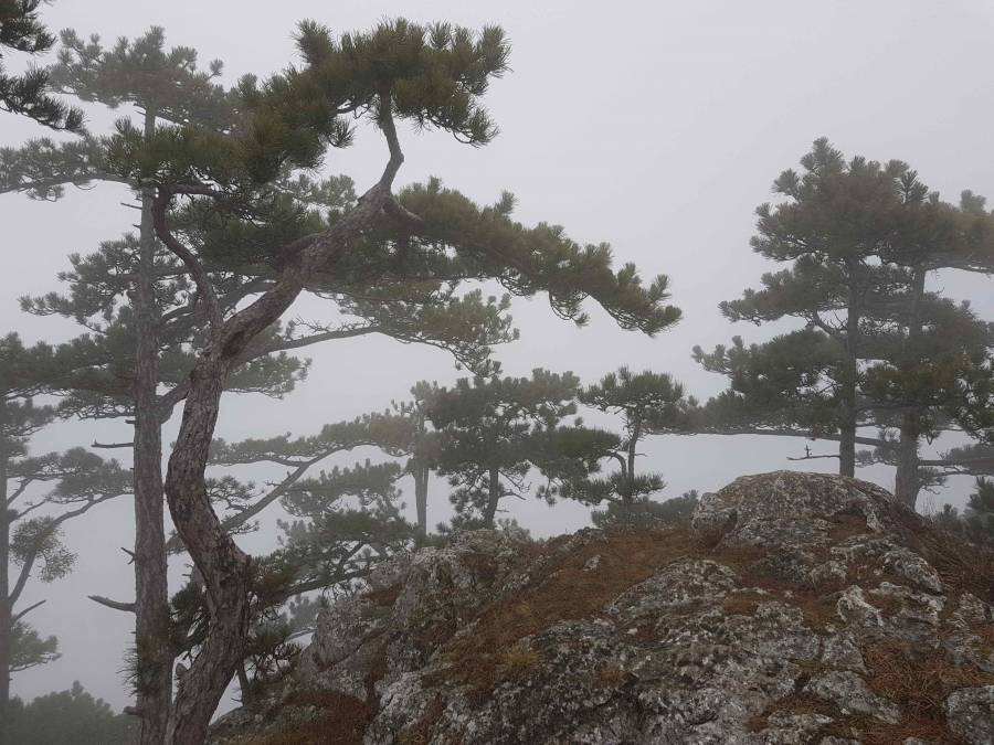 20180217_111644.jpg