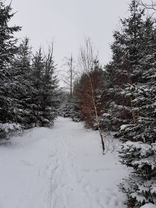 20180303_105629.jpg