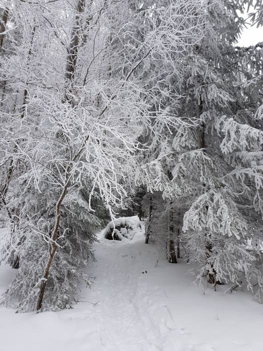 20180303_111528.jpg