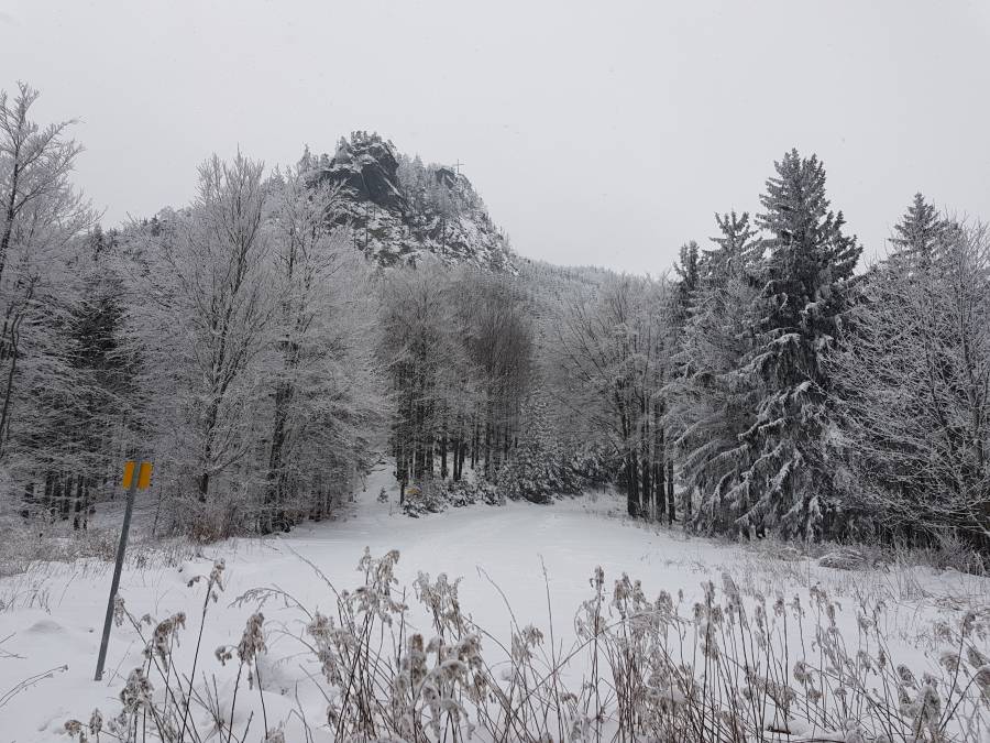20180303_112435.jpg