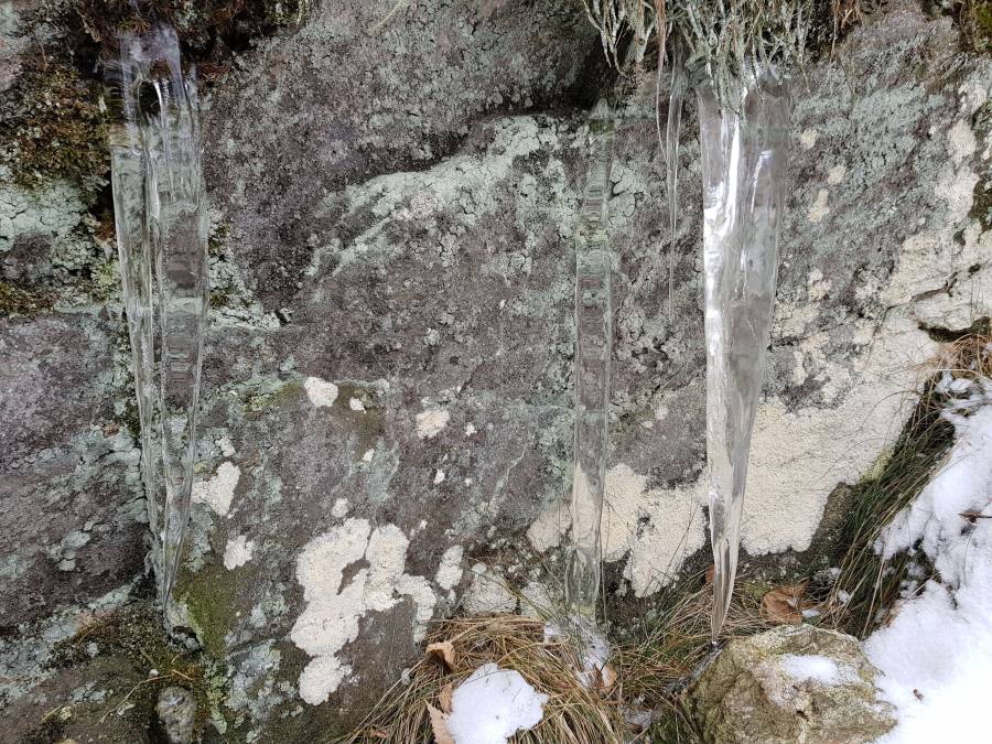 20180303_113239.jpg