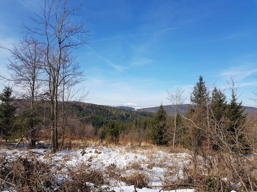 20180310_110517.jpg