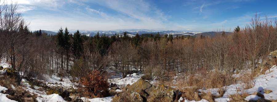 20180310_112721.jpg
