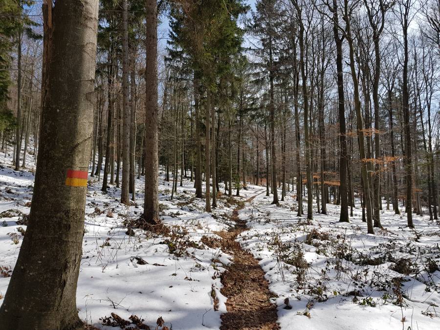 20180310_122006.jpg