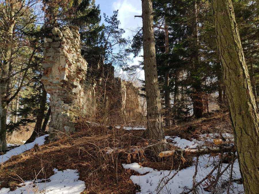 20180310_122709.jpg