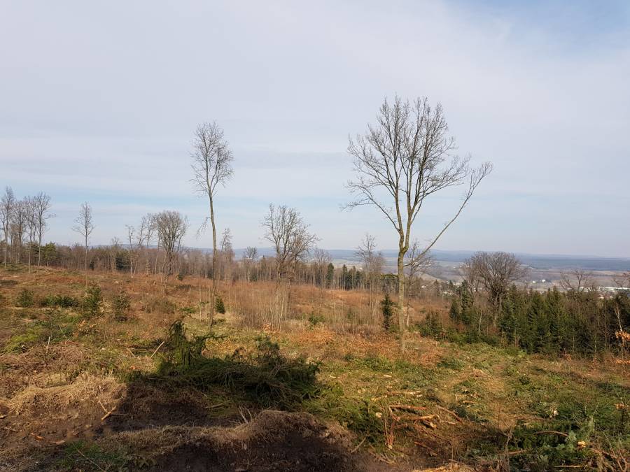 20180310_142214.jpg