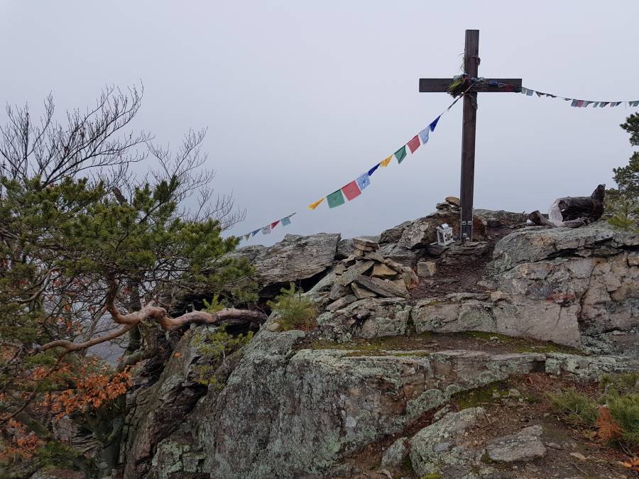 20180317_110839.jpg