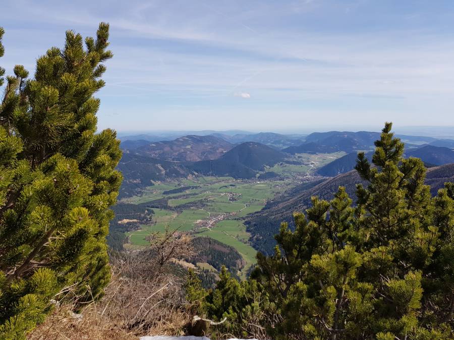 20180414_105014.jpg