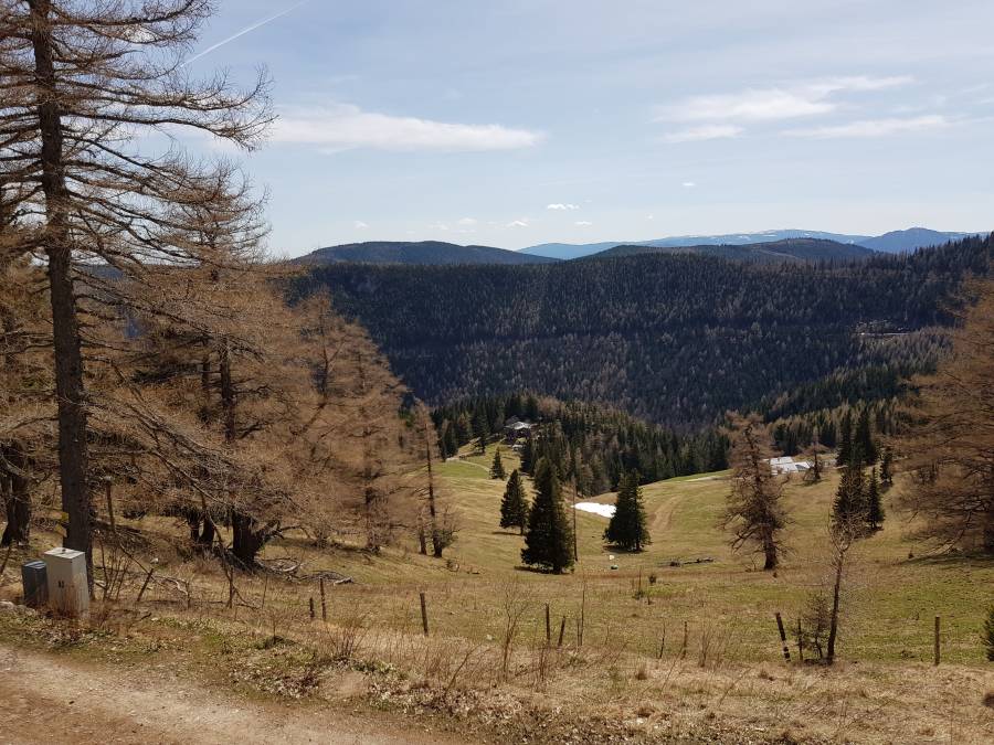 20180414_130024.jpg