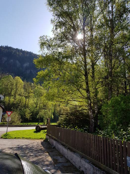 20180428_091945.jpg