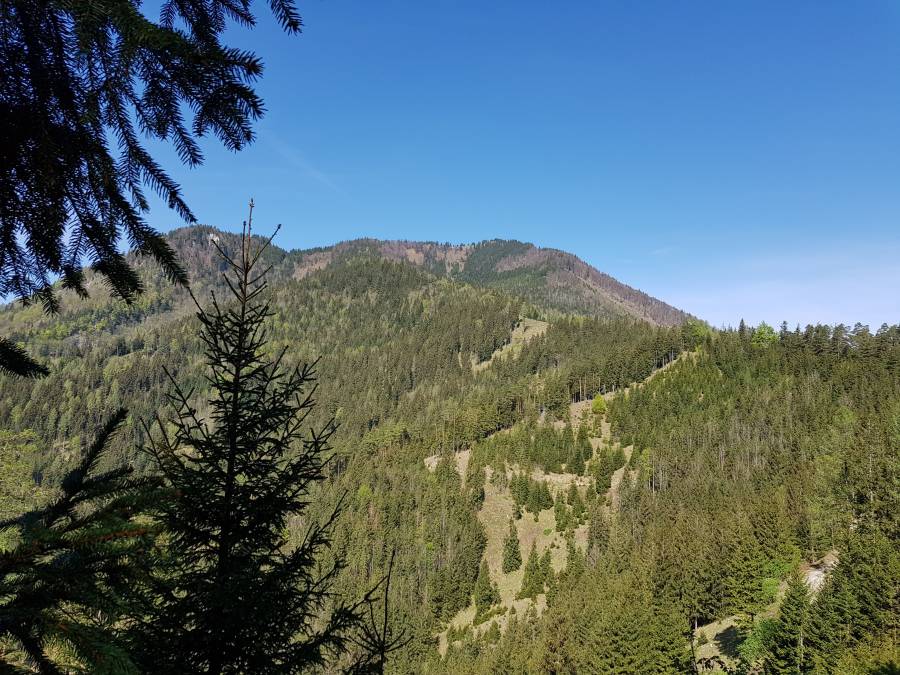 20180428_095334.jpg