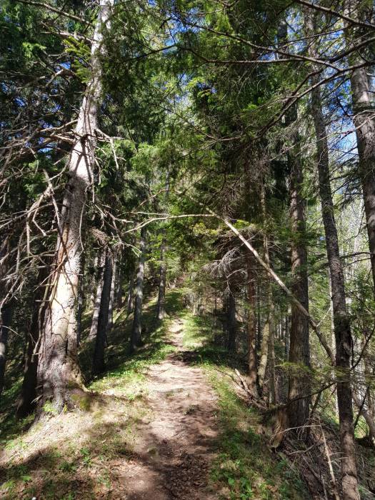 20180428_100325.jpg