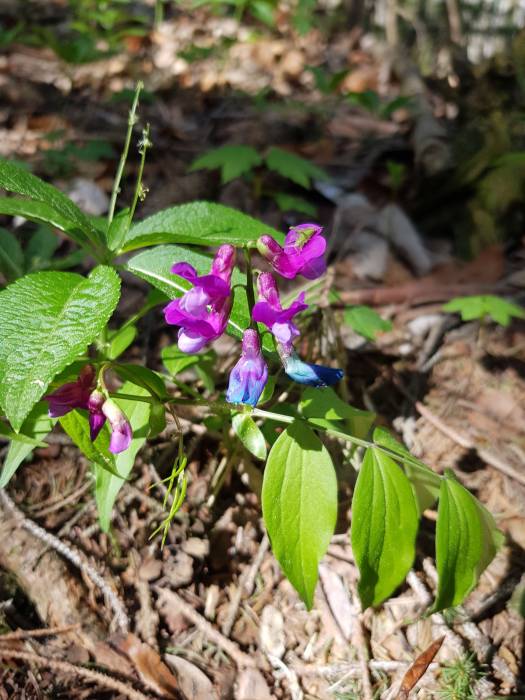 20180428_100826.jpg