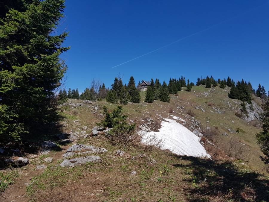 20180428_110859.jpg