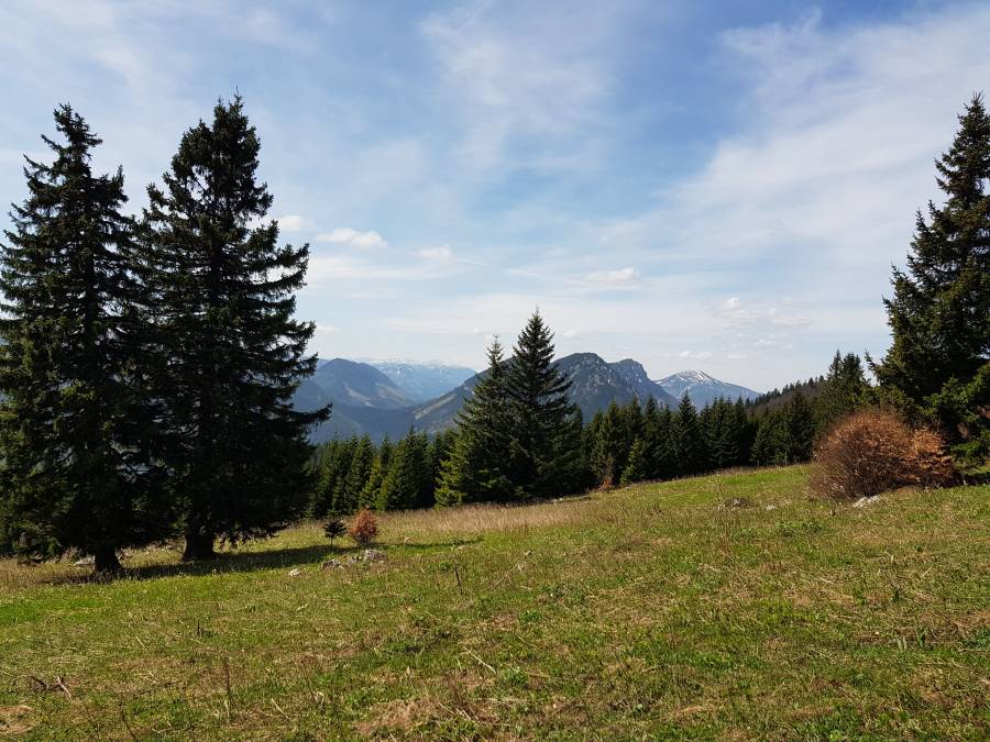 20180428_122000.jpg