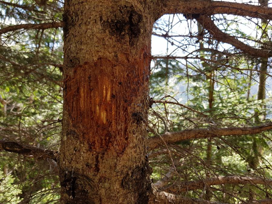 20180428_124835.jpg