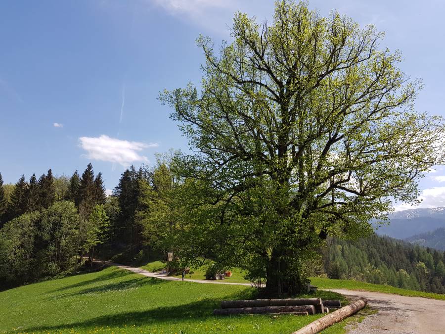 20180428_131511.jpg