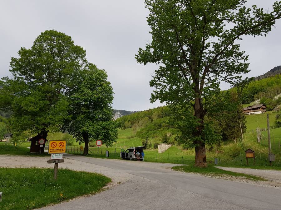 20180501_083819.jpg