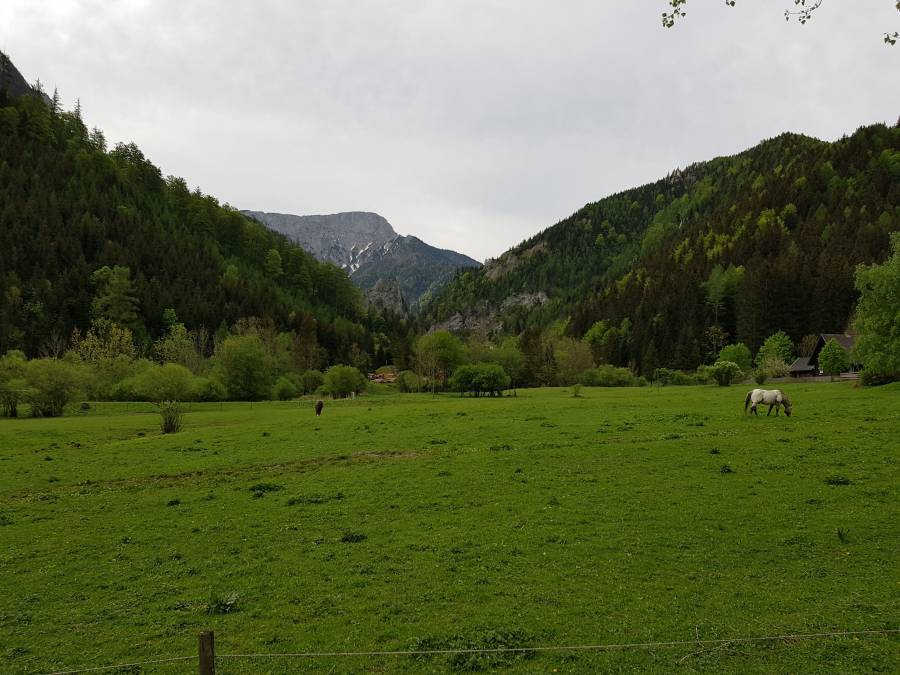 20180501_084045.jpg